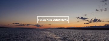 Terms and Conditions Terms and Conditions