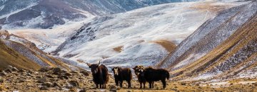 short-off-road-tours-Karakol short-off-road-tours-Karakol