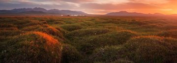 Son-Kol lake and yurts Son-Kol lake and yurts