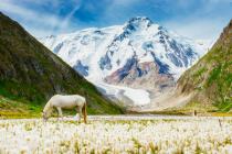 Peak Karakol