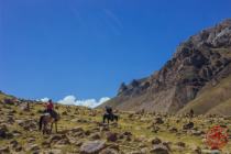 Horseback riding