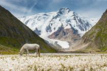 Peak Karakol