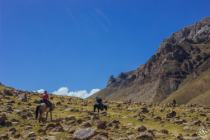 Horseback riding