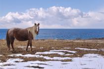 Issyk-Kul Lake
