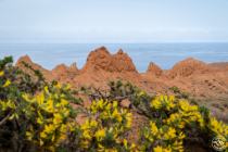 Nature in Mars Canyon