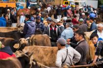 Animal market in Karakol 