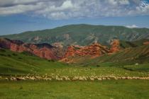 Pasture around Jety-Oguz