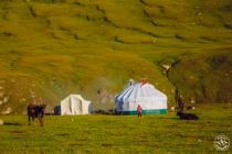 Nomad's yurt