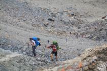 Telety pass