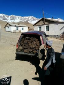 Dung is very important to survive here