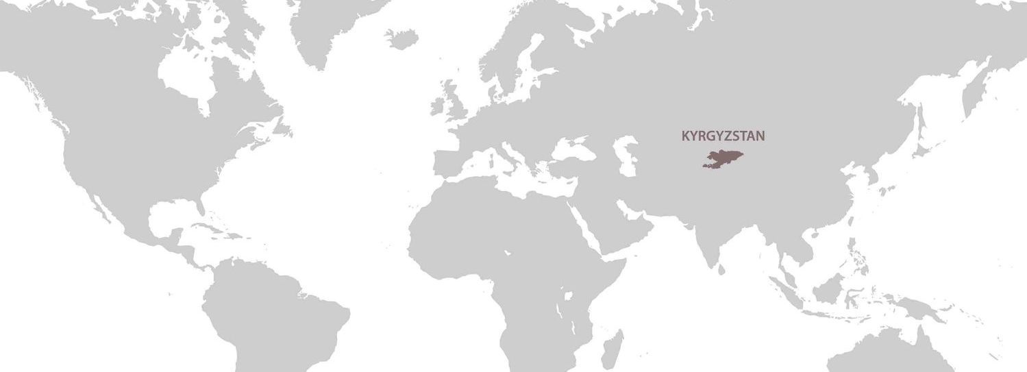 Visa to Kyrgyzstan