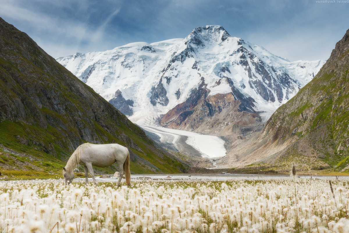 The glaciers of Terskey Ala-Too